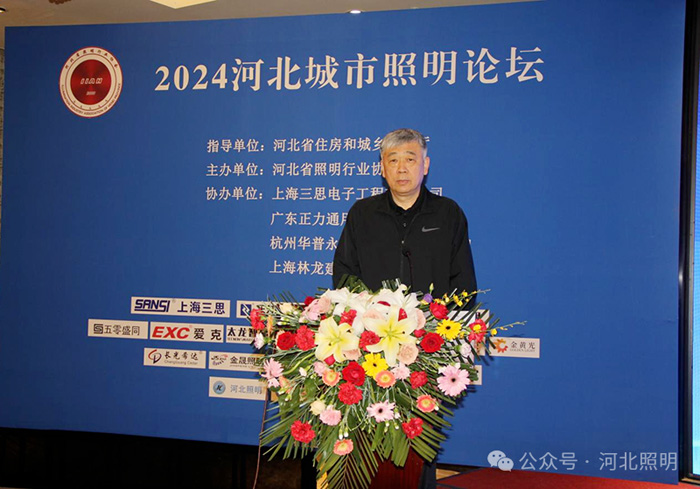 希达电子助力2024河北城市照明论坛共促城市照明智能发展(图2)