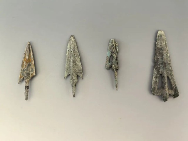 文化中国行｜2024年江苏运河沿线考古发现了什么(图4)